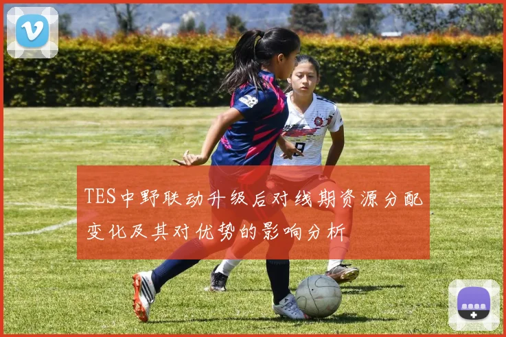 TES中野联动升级后对线期资源分配变化及其对优势的影响分析